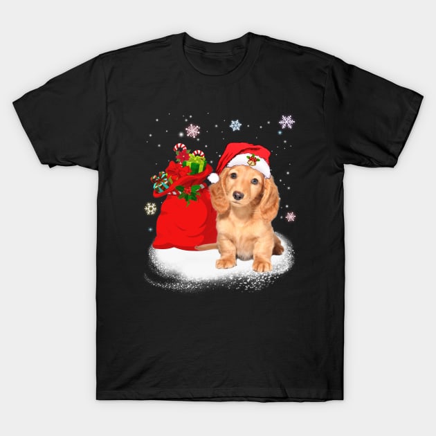 Christmas Santa Dachshund T-Shirt by TeeAbe